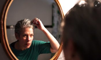 Image 12-22-24 at 9.53 AM